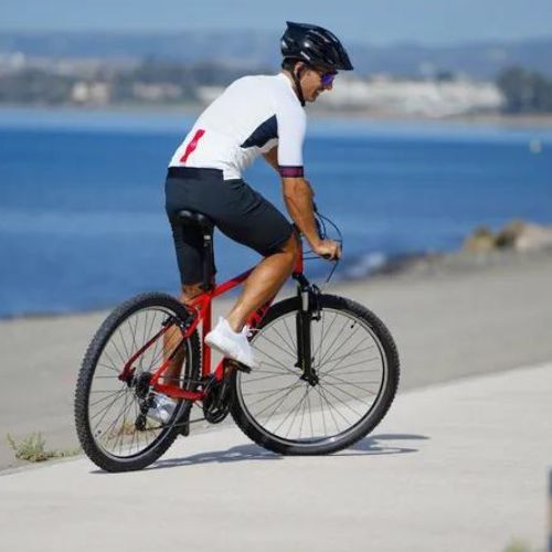 ATTABO Herren-Mountainbike ALPE 1.0 19" rot