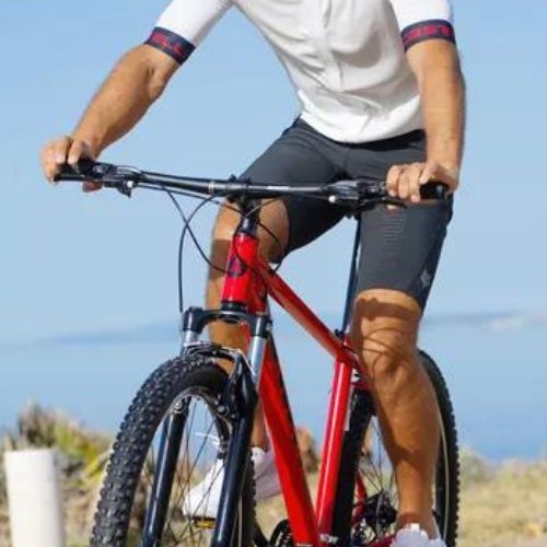 ATTABO Herren-Mountainbike ALPE 1.0 19" rot