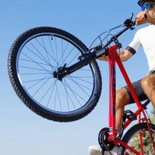 ATTABO Herren-Mountainbike ALPE 1.0 19" rot