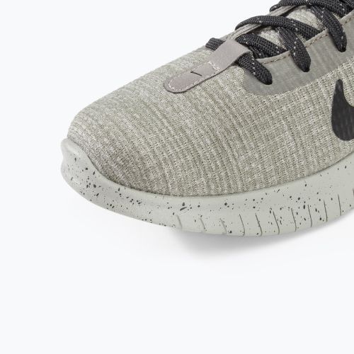 Herren Laufschuhe Nike Flex Experience Run 12 helles Eisenerz/flaches Zinn/schwarz