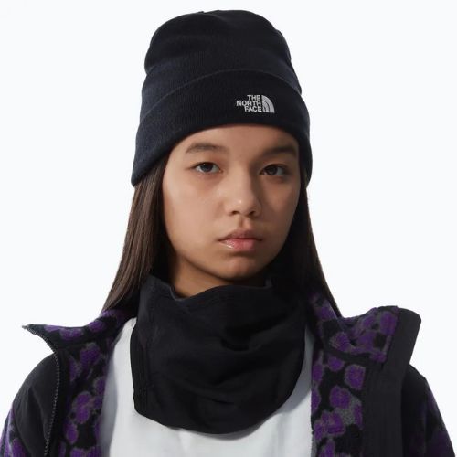 Herren-Trekkingmütze The North Face Norm Beanie schwarz