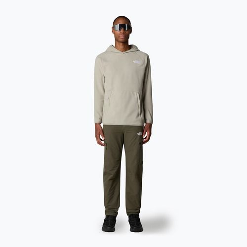 Herren Sweatshirt The North Face 100 Glacier Hoodie Ton grau