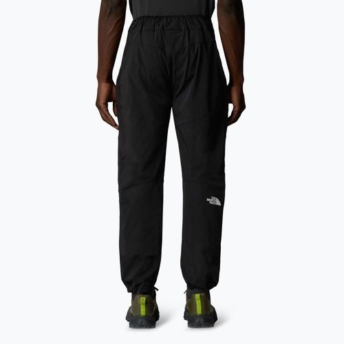 Herren-Trekkinghose The North Face Alpine Ridge Regular Tapered schwarz/npf