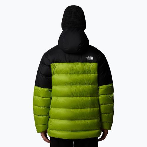 Daunenjacke Herren The North Face Kalix Down Hoodie meadow grass/black