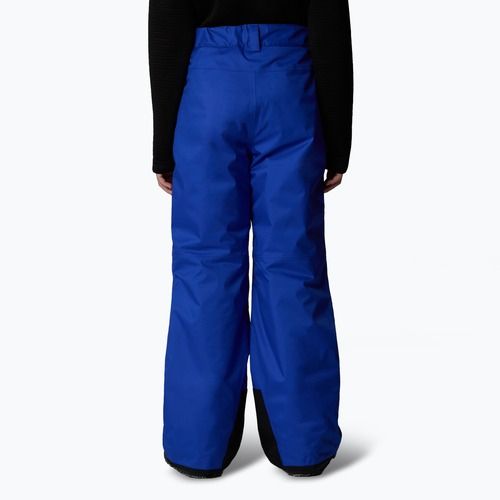 Skihose Kinder The North Face Freedom Insulated blue