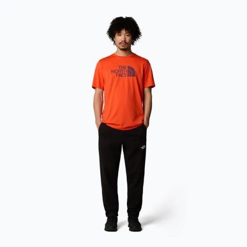 The North Face Herren T-Shirt "Easy" in Karmesinorange/Alpenpflaume