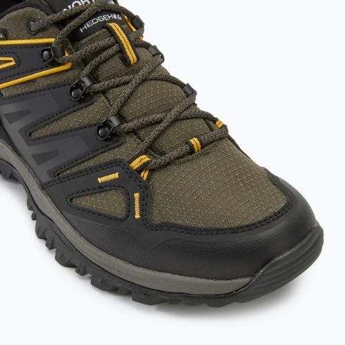 Herren Wanderschuhe The North Face Hedgehog Gore-Tex neu taupe grün/schwarz