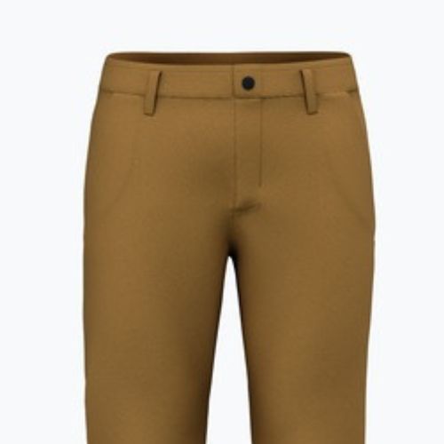 Salewa Herren-Trekkinghose Fanes Hanf goldbraun