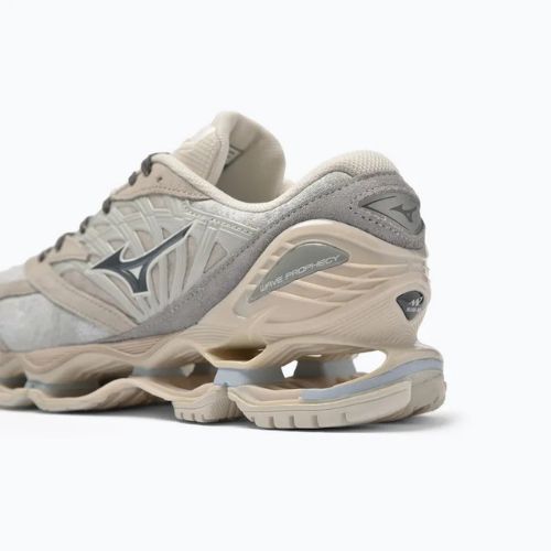 Mizuno Wave Prophecy LS nimbus cloud/magnet/silver cloud Schuhe