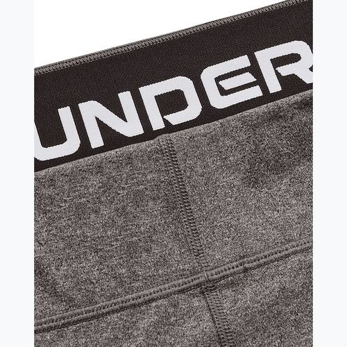 Unter Armour ColdGear Authentics Frauen Training Leggings Holzkohle helles Heidekraut/schwarz