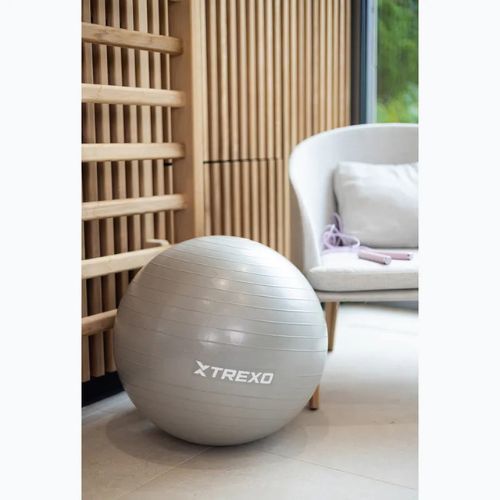 TREXO Gymball TXO-B4Z007-GY 55 cm grau