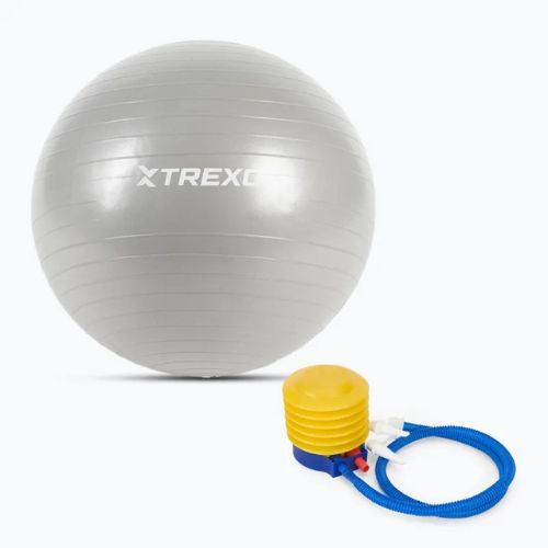 TREXO Gymball TXO-B4Z007-GY 55 cm grau