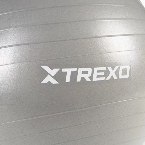 TREXO Gymball TXO-B4Z008-GY 65 cm grau