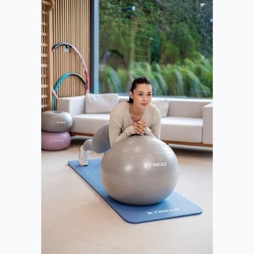 TREXO Gymball TXO-B4Z008-GY 65 cm grau