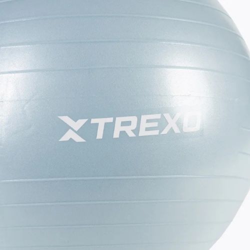 TREXO Gymball TXO-B4Z008-BL 65 cm blau