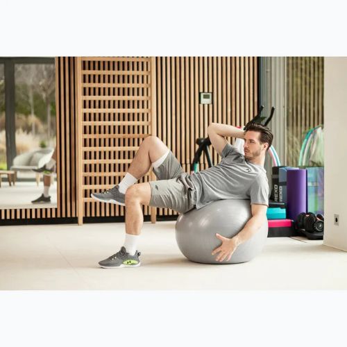 TREXO Gymball TXO-B4Z009-GY 75 cm grau