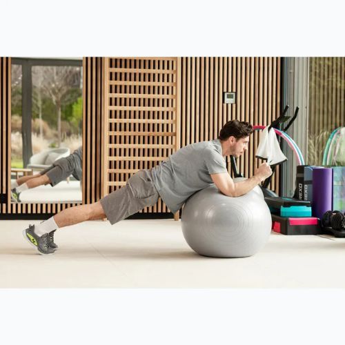 TREXO Gymball TXO-B4Z009-GY 75 cm grau