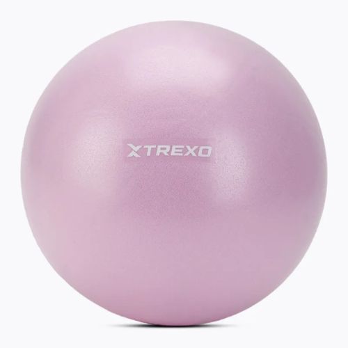 Mini Gymnastikball TREXO TXO-B4Z011-VT 25 cm Lila