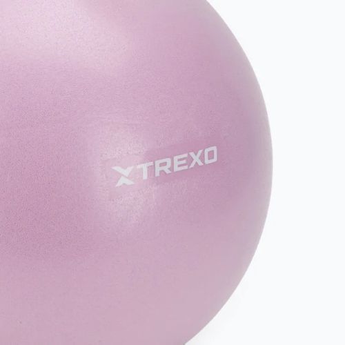Mini Gymnastikball TREXO TXO-B4Z011-VT 25 cm Lila
