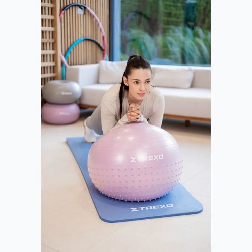 TREXO TXO-B4Z020-VT 55 cm lila Massage-Gymnastikball