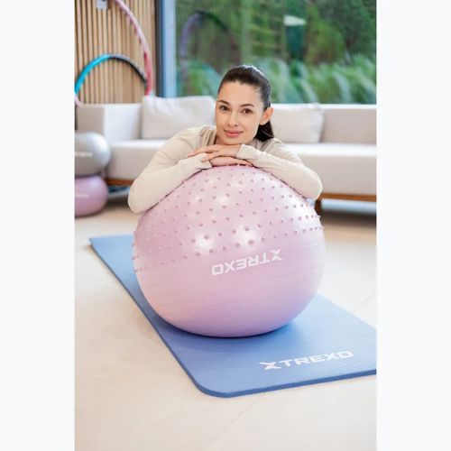 TREXO TXO-B4Z020-VT 55 cm lila Massage-Gymnastikball