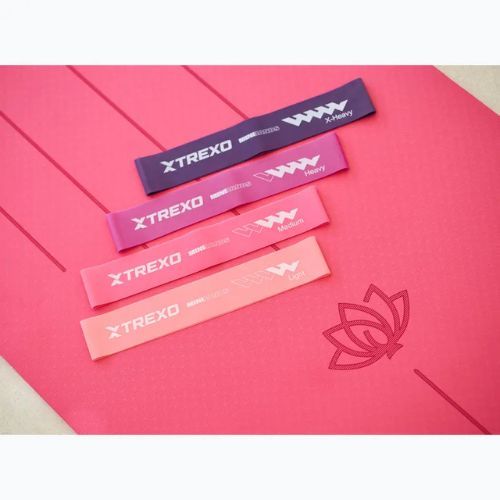 Fitness-Gummiband-Set TREXO Mini Power Band TXO-B4Z053-ALL 5 Stk. multicolour