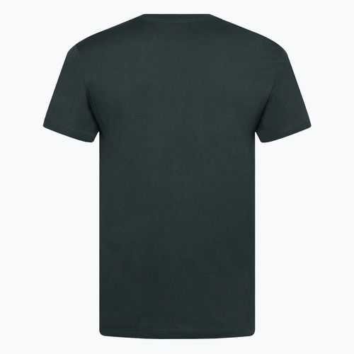 Herren Nike Fitness-T-Shirt vintage grün