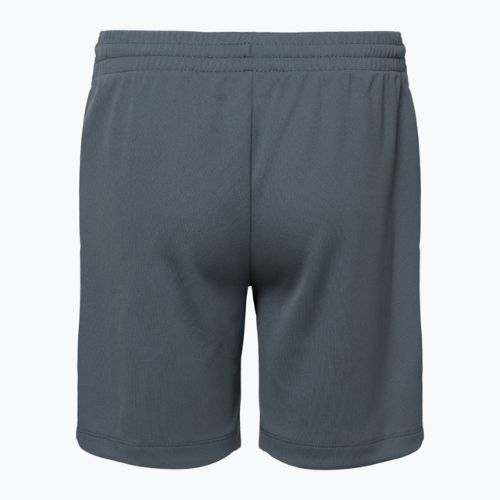 Shorts Kinder Nike Dri-Fit Multi smoke grey/white/white