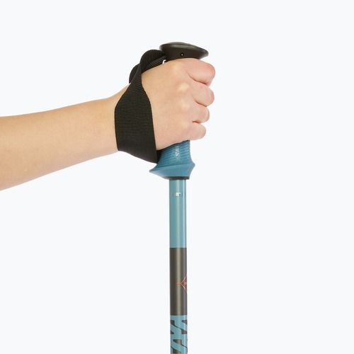 Skistöcke Salomon Polar Pro copen blue