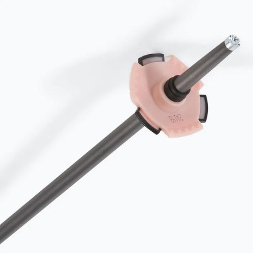 Skistöcke Salomon Polar Pro rose gold
