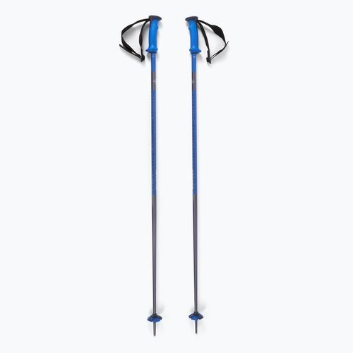 Skistöcke Salomon Polar Pro race blue