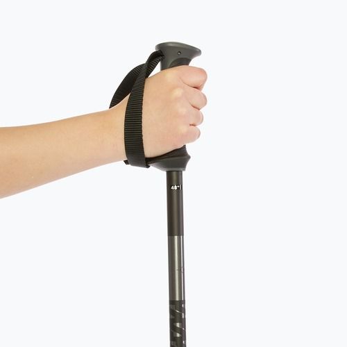 Skistöcke Salomon Polar black