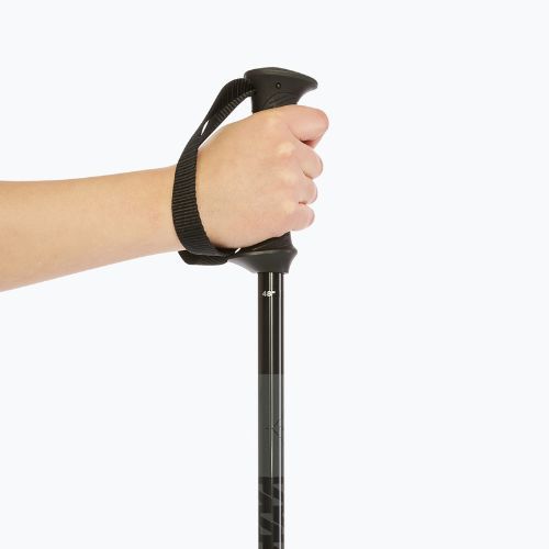 Skistöcke Salomon Polar Access black