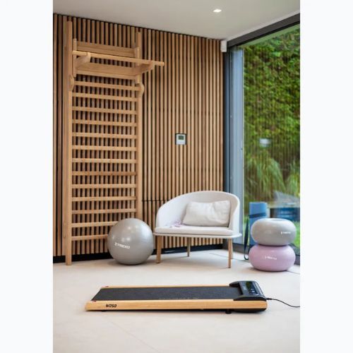 Elektrisches Laufband XTREXO TXO-W250 Schwarz/Braun