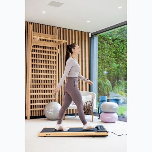 Elektrisches Laufband XTREXO TXO-W250 Schwarz/Braun