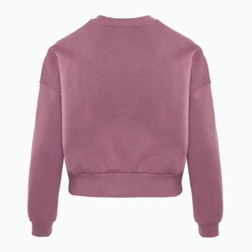 Sweatshirt Hoodie Kinder Nike Sportswear Club Fleece plum dust/light wild mango