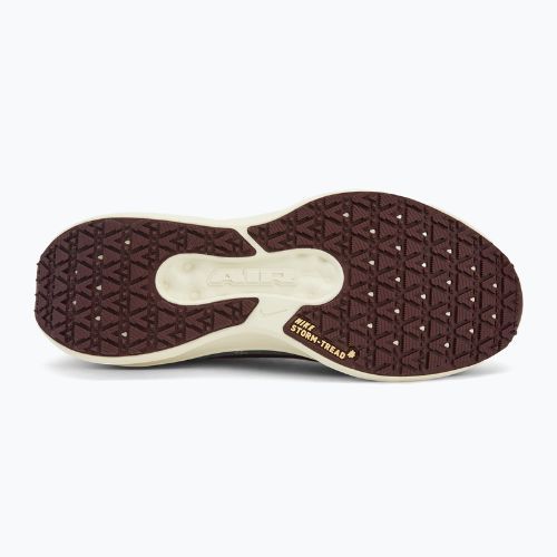 Laufschuhe Herren Nike Winflo 11 GORE-TEX light pumice/dk smokegrey/burgundycrush/ashenslate