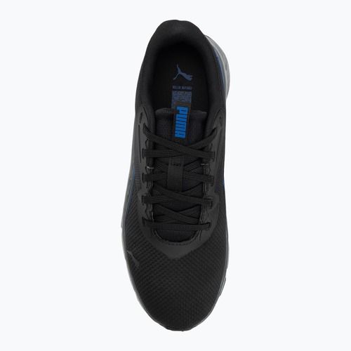 PUMA Flexfocus Lite Modern Woven Laufschuhe puma schwarz/vivid blau