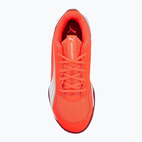 PUMA Accelerate Jr Kinder-Handballschuhe leuchtend rot/weiß/dunkelkarminrot/schwarz