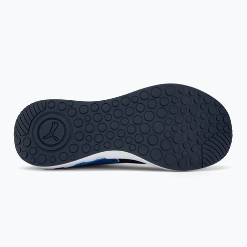 Laufschuhe PUMA PUMA Softride Carson vivid blue/puma navy