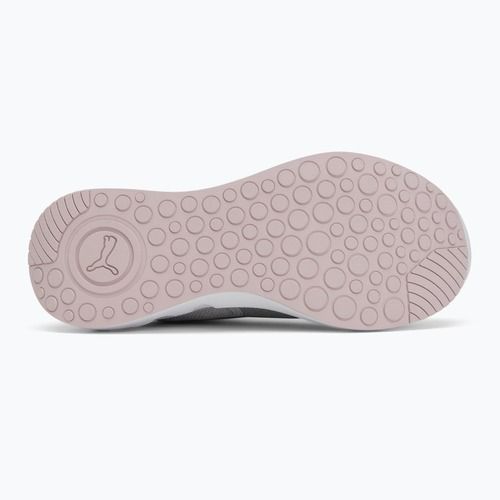 Laufschuhe PUMA PUMA Softride Carson cool light gray/rose mauve/puma silver