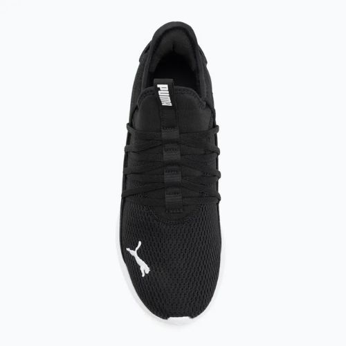 Laufschuhe PUMA PUMA Softride Carson Fresh puma black/puma black/puma white