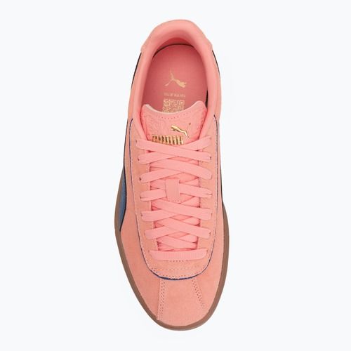Schuhe Damen PUMA Club Klassika Suede pink fruit/blazing blue/puma gold