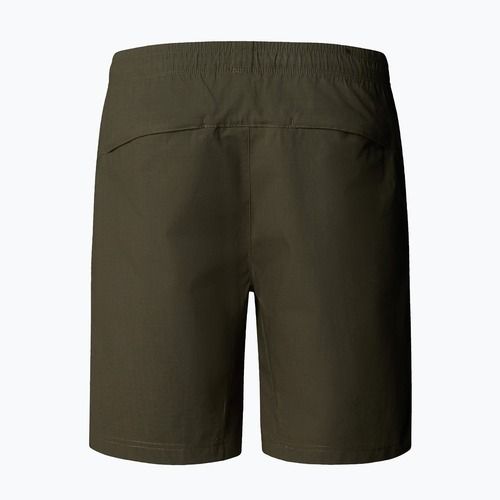 Herren-Shorts The North Face Limestone new taupe green