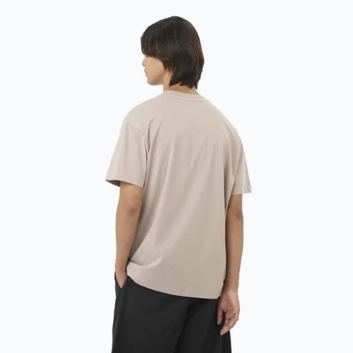 Shirt Herren Salomon Logo RX Tee etherea