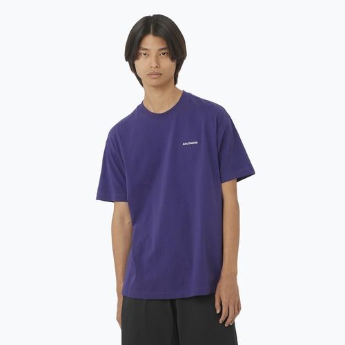 Shirt Herren Salomon Logo RX Tee astral