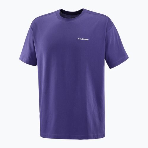 Shirt Herren Salomon Logo RX Tee astral