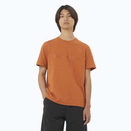 Shirt Herren Salomon Big Logo Tee sierra