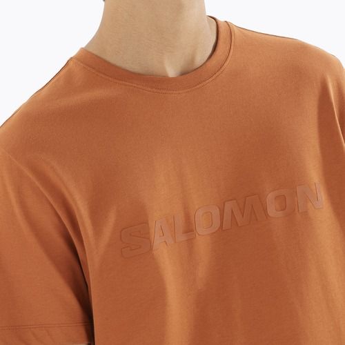 Shirt Herren Salomon Big Logo Tee sierra