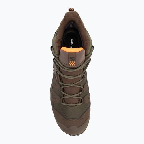 Trekkingschuhe Herren Salomon X Ultra Tracker GTX green/earth brown/sharkskin